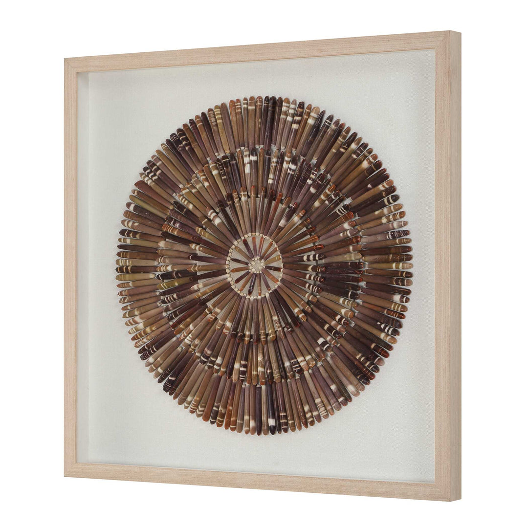 Tiger Sea Urchin Shadow Box