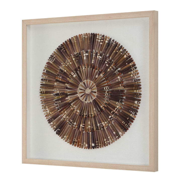 Tiger Sea Urchin Shadow Box