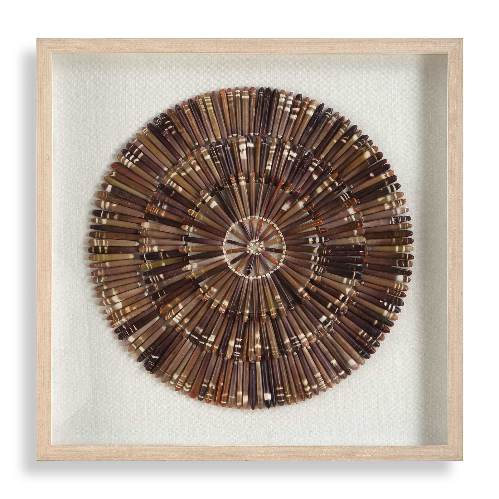 Tiger Sea Urchin Shadow Box