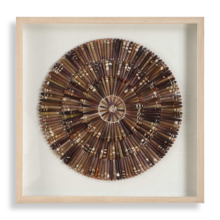 Tiger Sea Urchin Shadow Box