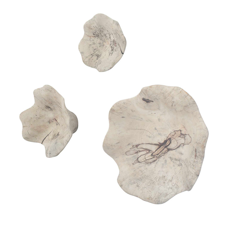 Teo Bleached Wood Wall Decor Set of 3