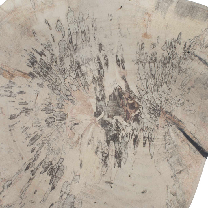 Teo Bleached Wood Wall Decor Set of 3