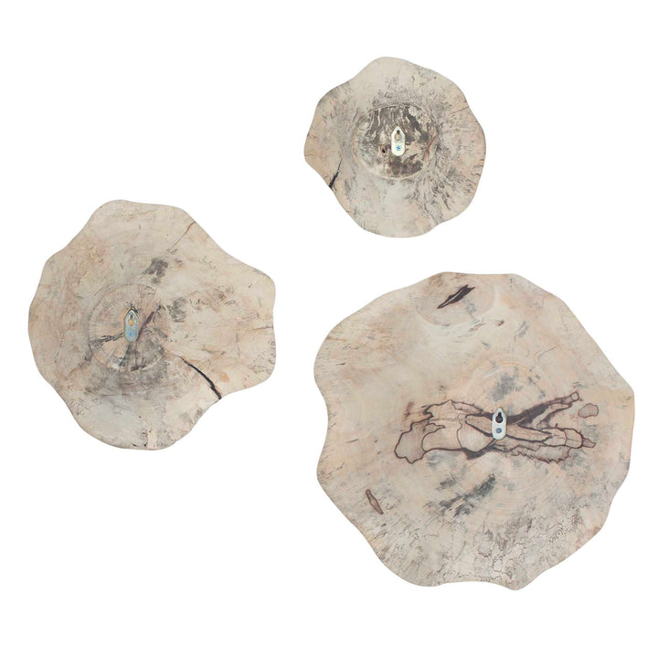 Teo Bleached Wood Wall Decor Set of 3