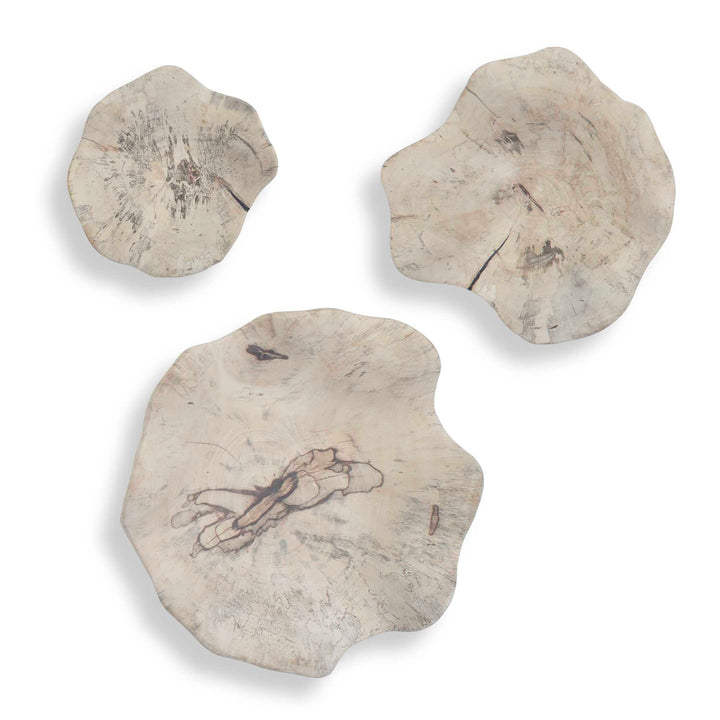 Teo Bleached Wood Wall Decor Set of 3