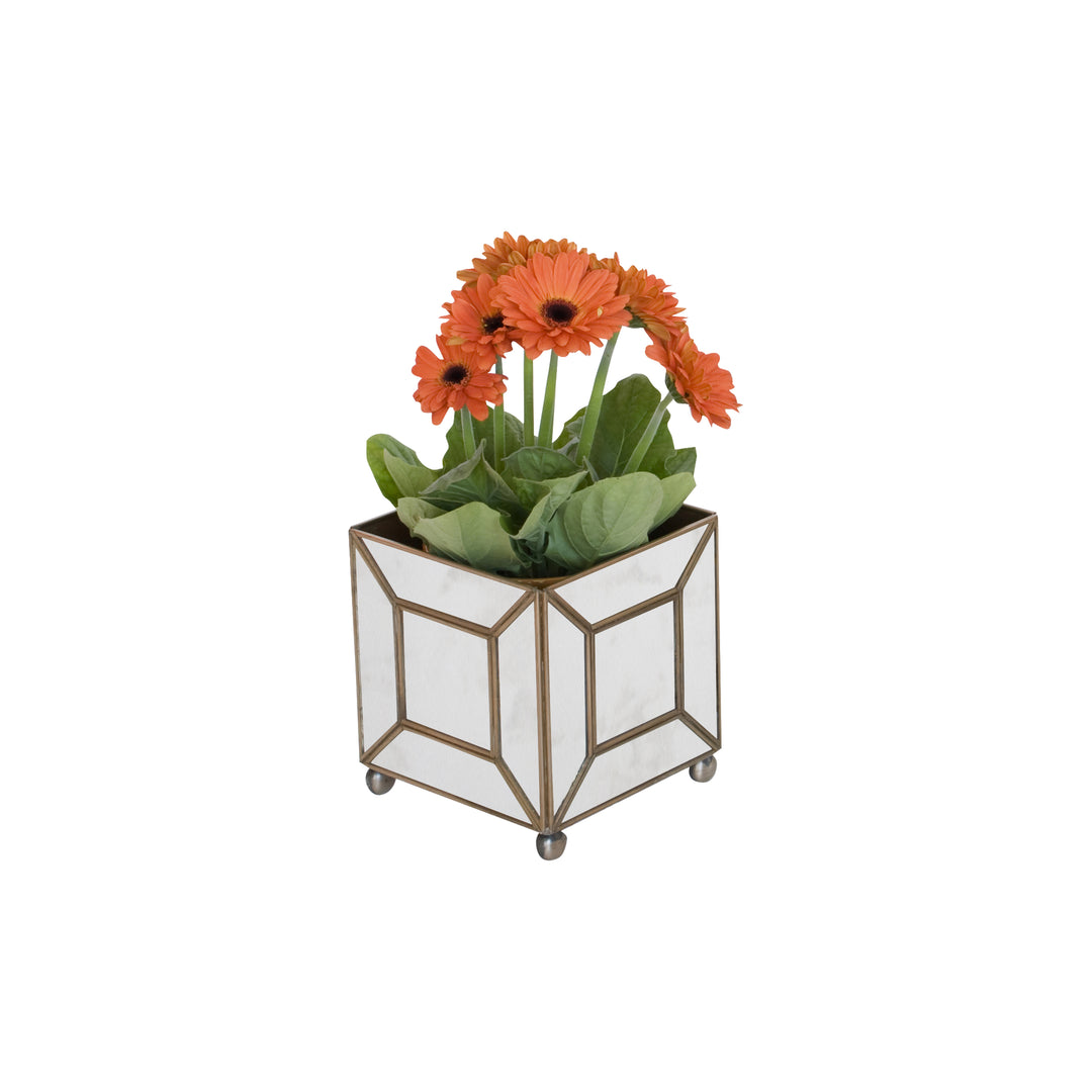 Ant Mir Classic Planter - MTPAMC