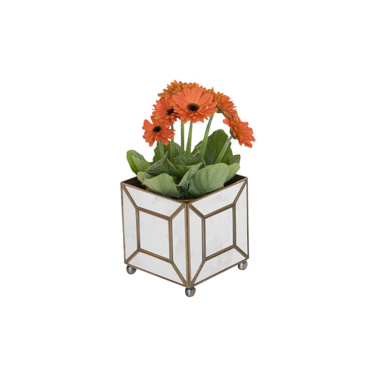 Ant Mir Classic Planter - MTPAMC