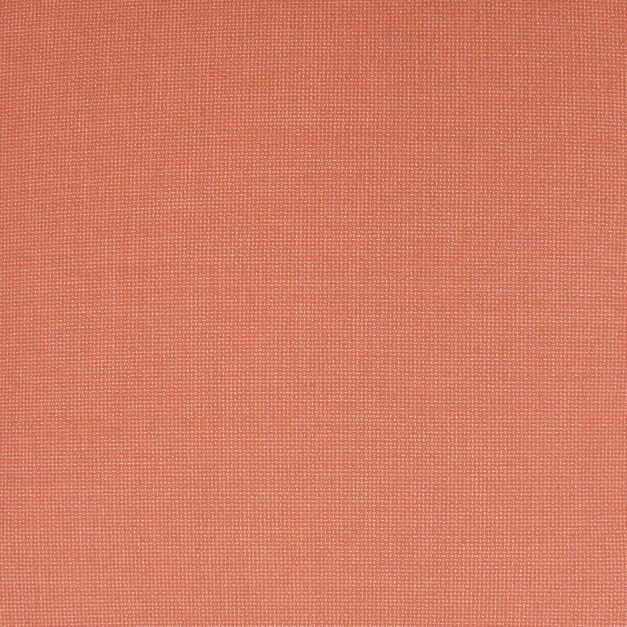 Guava