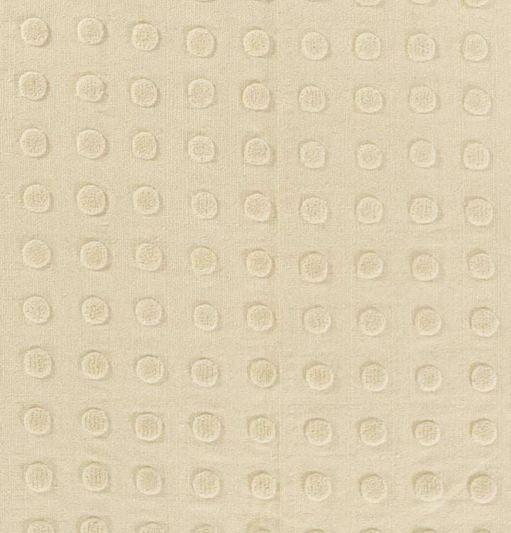 Rectangle/Cream