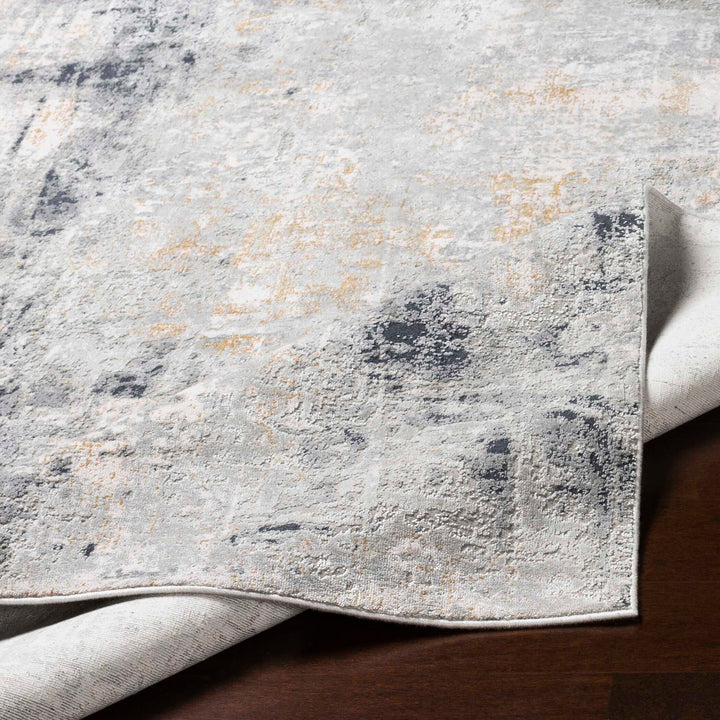Paoli Gray Abstract Rug