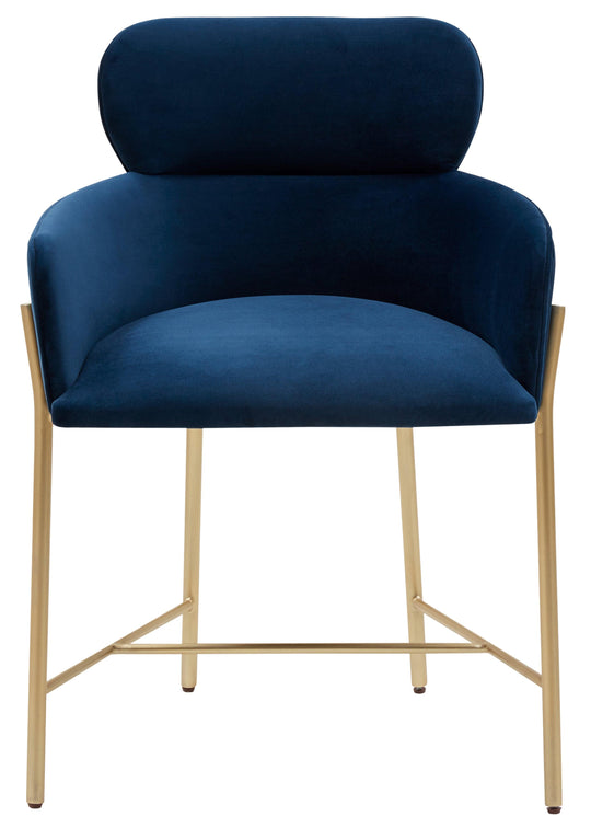 NAVY / GOLD