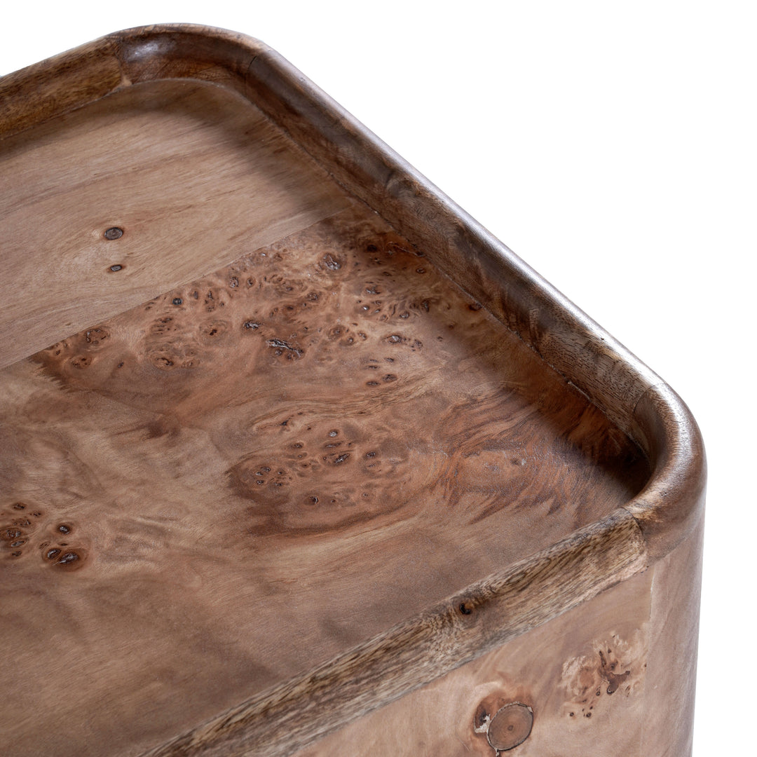 Safavieh Couture Torryn Burl Accent Table