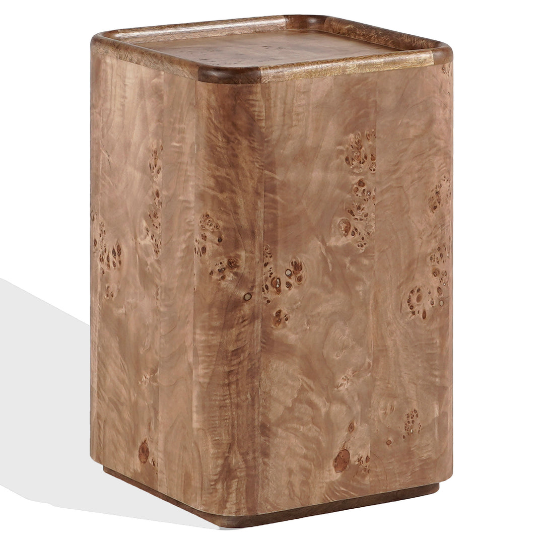 Safavieh Couture Torryn Burl Accent Table
