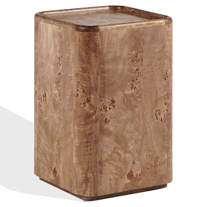 Safavieh Couture Torryn Burl Accent Table