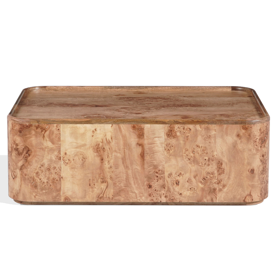Safavieh Couture Torryn Burl Coffee Table