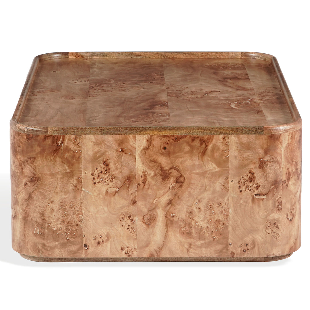 Safavieh Couture Torryn Burl Coffee Table