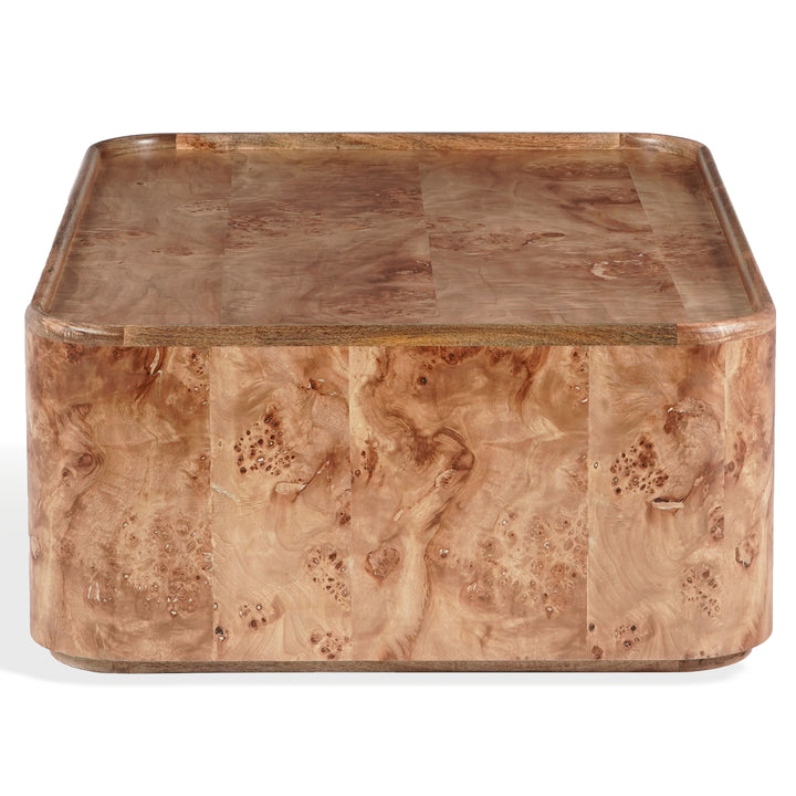 Safavieh Couture Torryn Burl Coffee Table