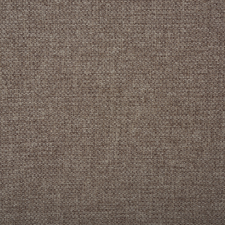 Walnut / Black