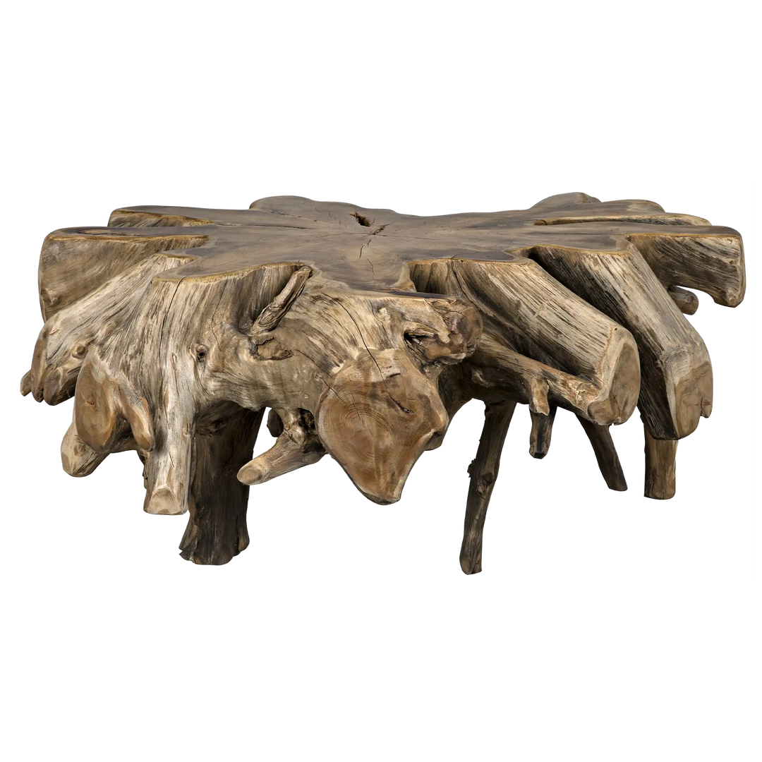 American Home Furniture | Noir - Teak Root Coffee Table