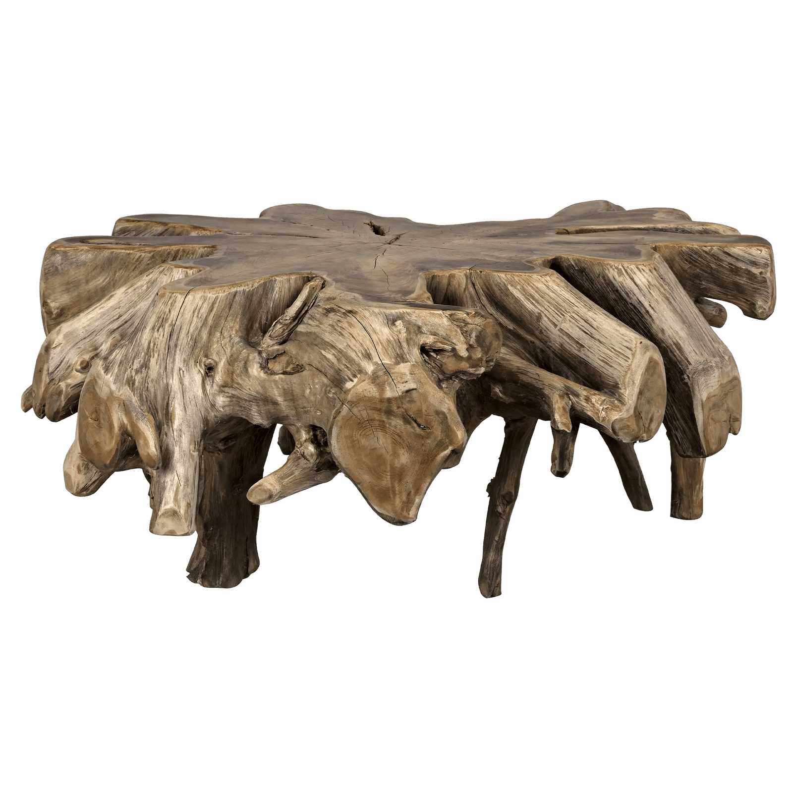 Noir Teak Root Coffee Table COFFEE TABLES