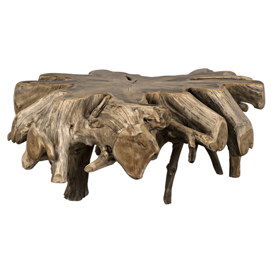 Noir Teak Root Coffee Table COFFEE TABLES