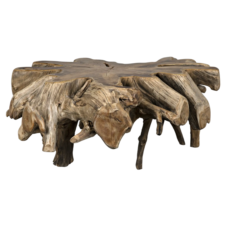 American Home Furniture | Noir - Teak Root Coffee Table