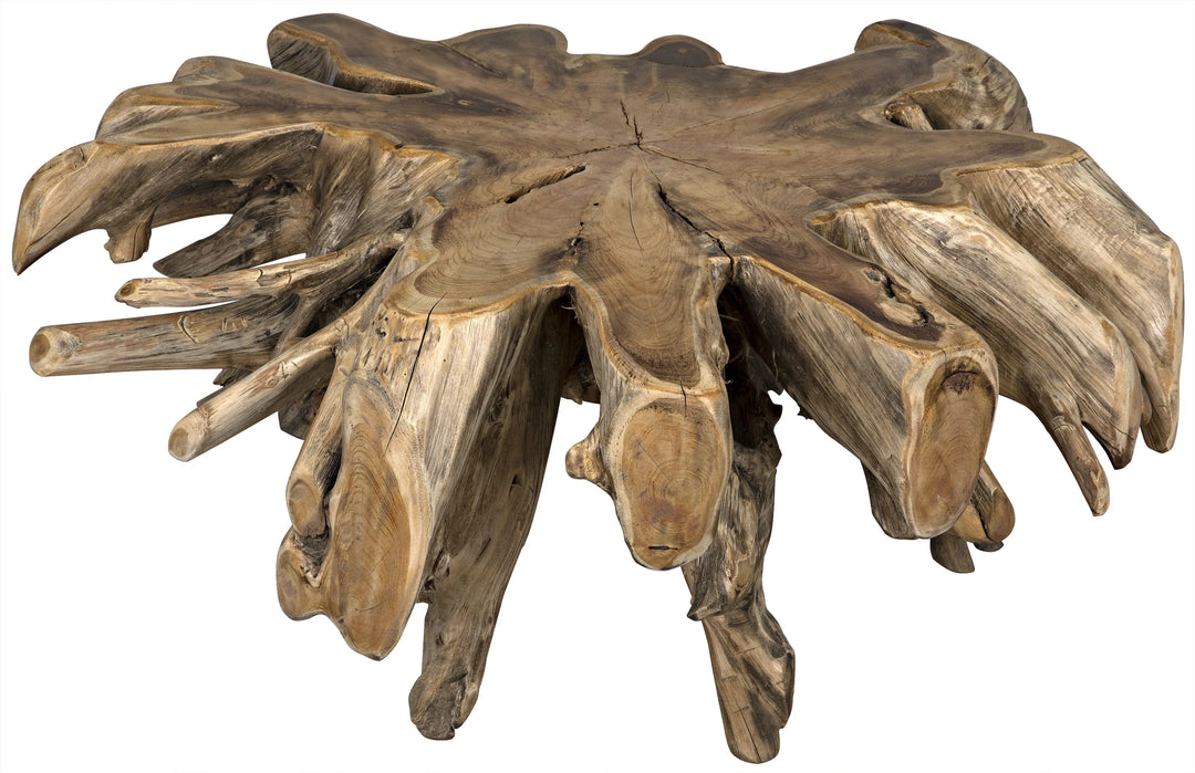 American Home Furniture | Noir - Teak Root Coffee Table