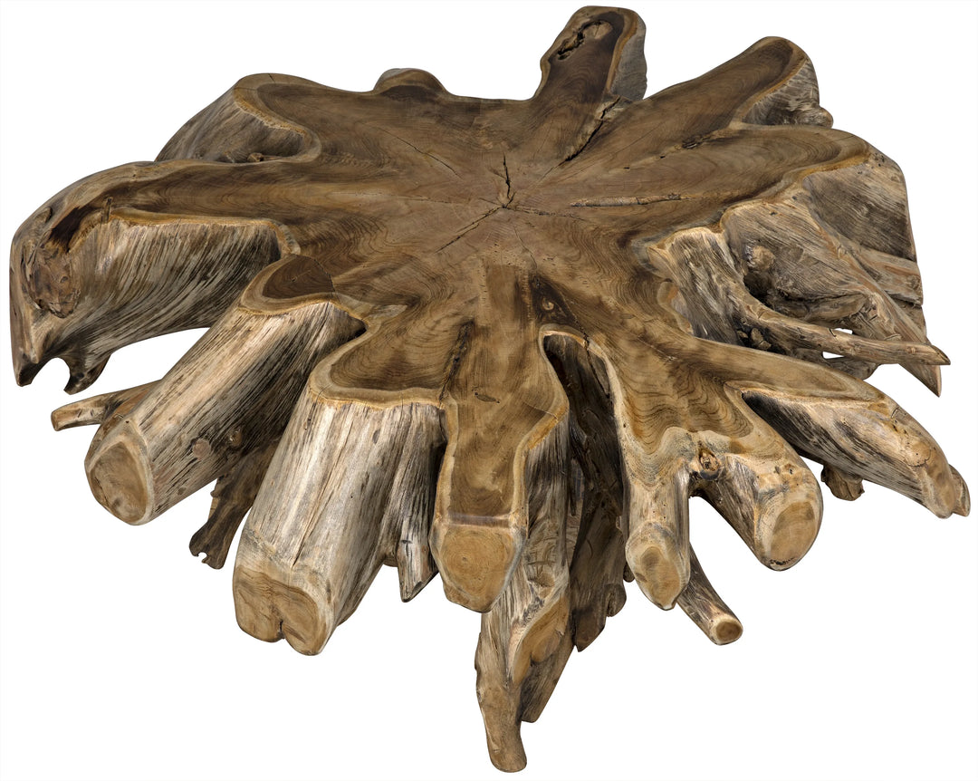 American Home Furniture | Noir - Teak Root Coffee Table