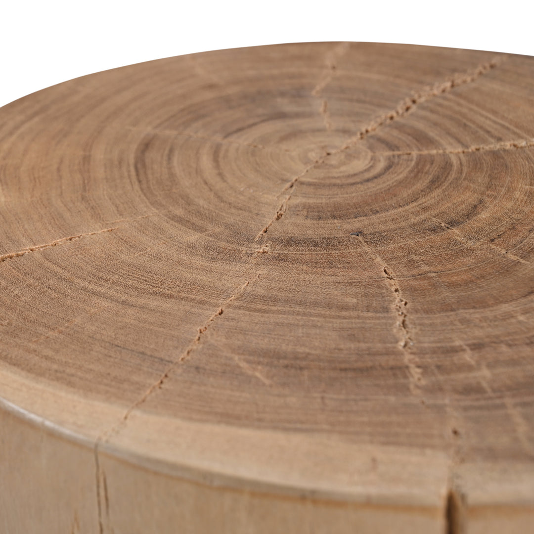 Patcharee End Table