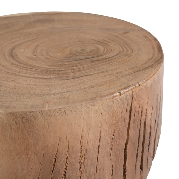 Anchali End Table