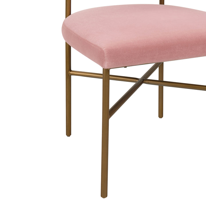 American Home Furniture | TOV Furniture - Kim Performance Velvet Chair in Blush