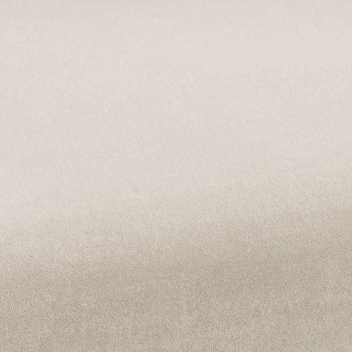 TOV Furniture Kim Performance Velvet Chair in Cream DINING CHAIRS