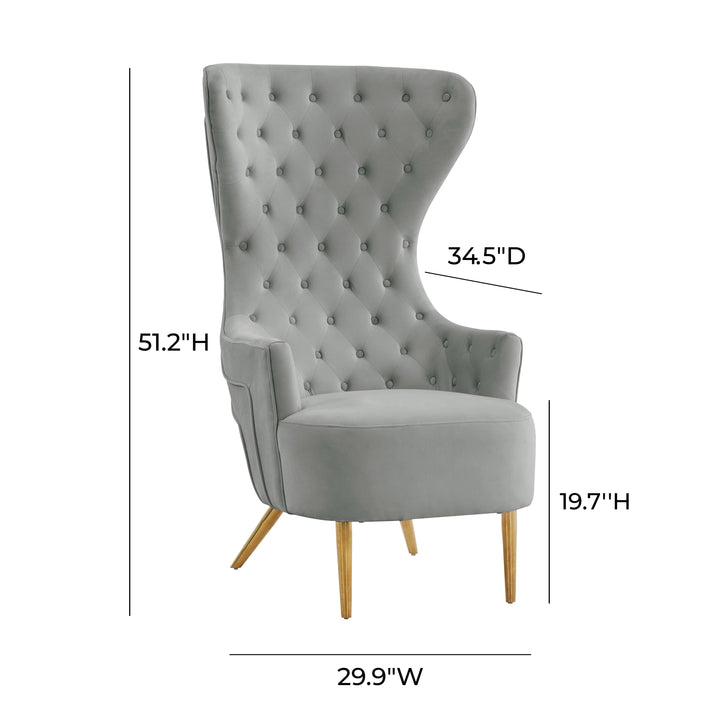 TOV Furniture Jezebel Grey Velvet Wingback Chair ACCENT + LOUNGE CHAIRS