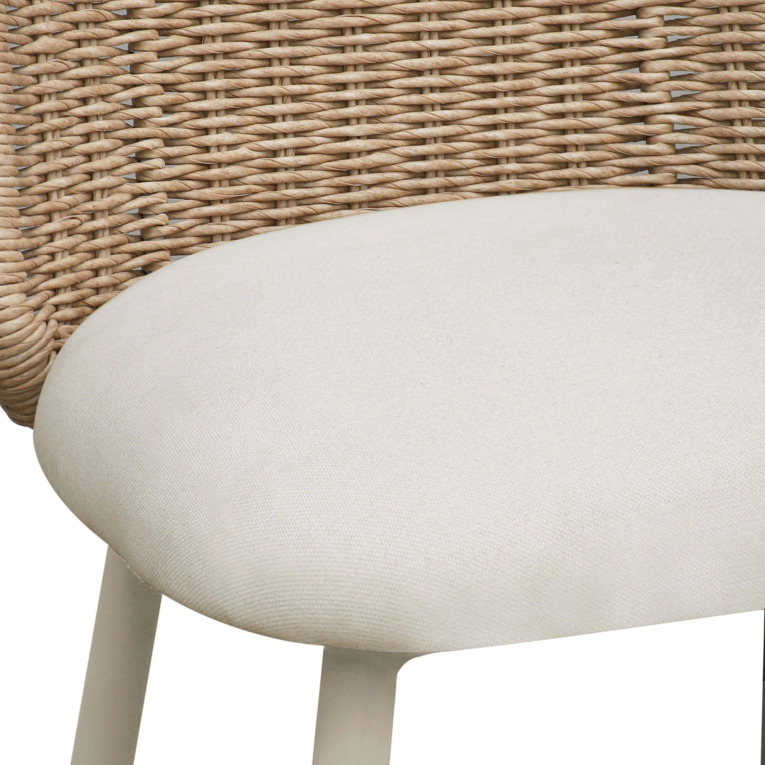 TOV Furniture Alexa Cream Outdoor Dining Chair - Set of 2 OUTDOOR DINING CHAIRS