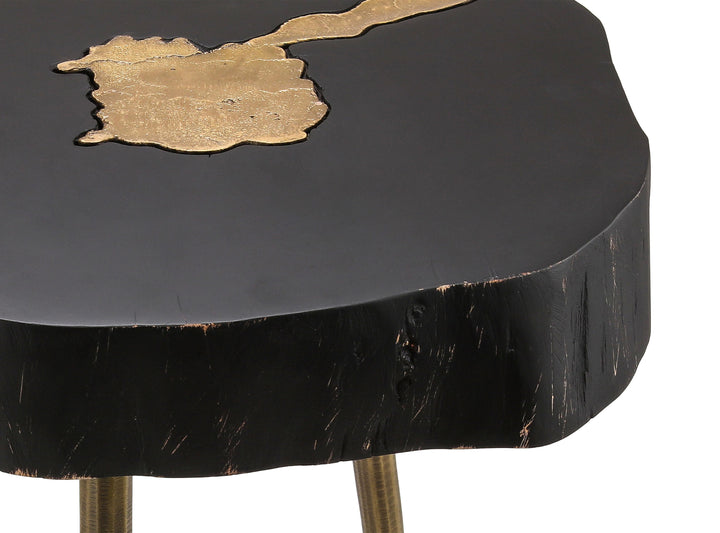 American Home Furniture | TOV Furniture - Timber Black and Brass Side Table