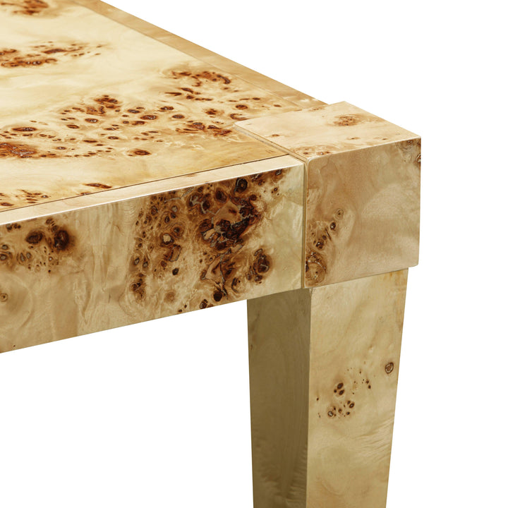 TOV Furniture Brandyss Natural Burl End Table ACCENT TABLES