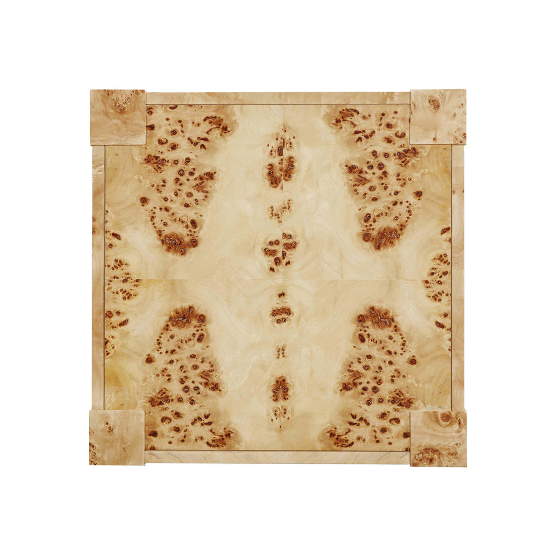 TOV Furniture Brandyss Natural Burl End Table ACCENT TABLES