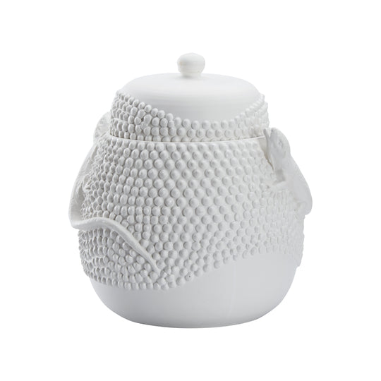 Anolis Canister  - W10069