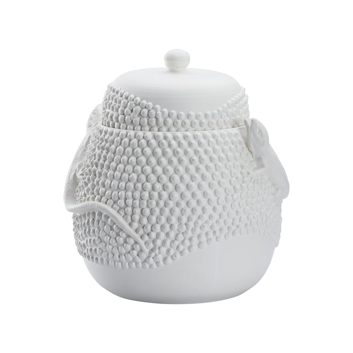 Anolis Canister  - W10069
