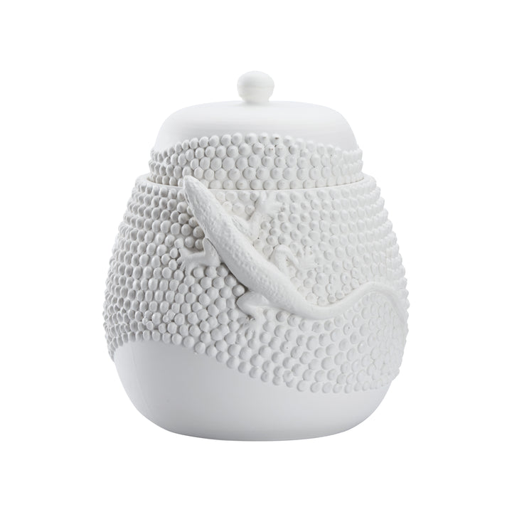 Anolis Canister  - W10069