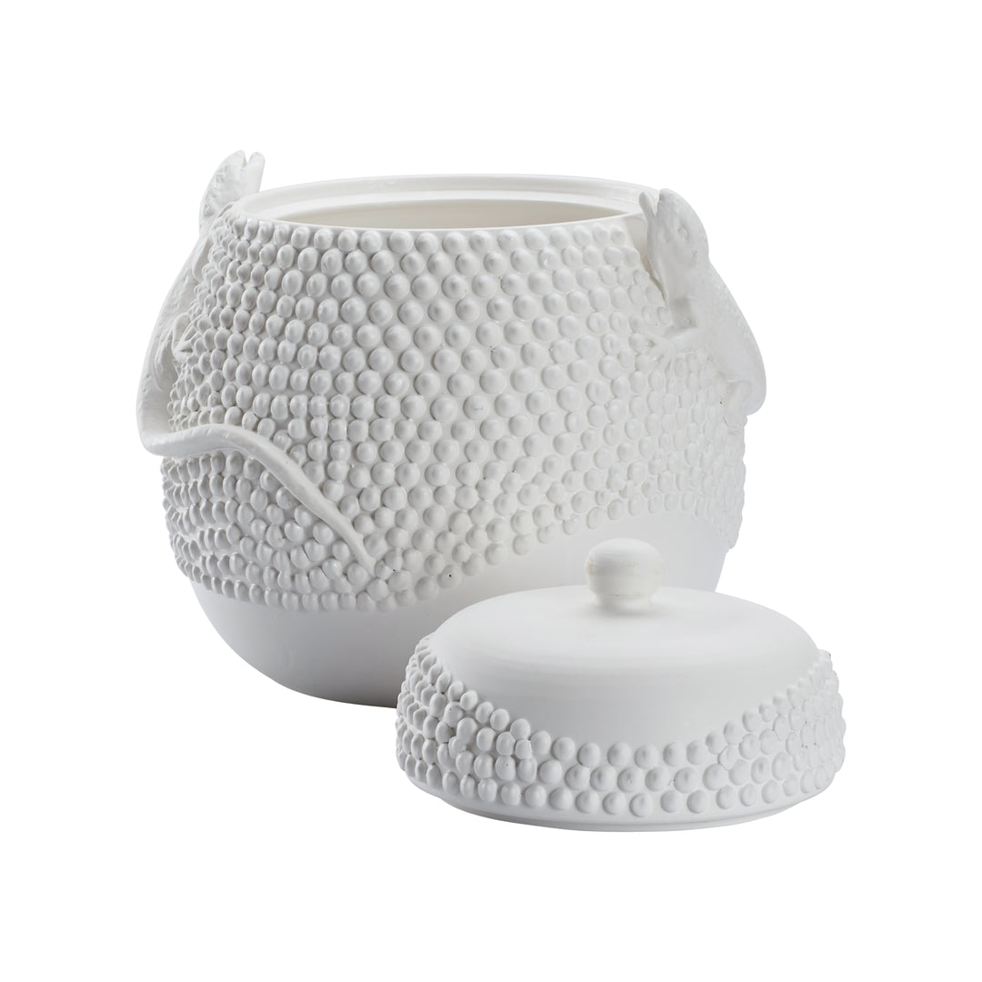 Anolis Canister  - W10069