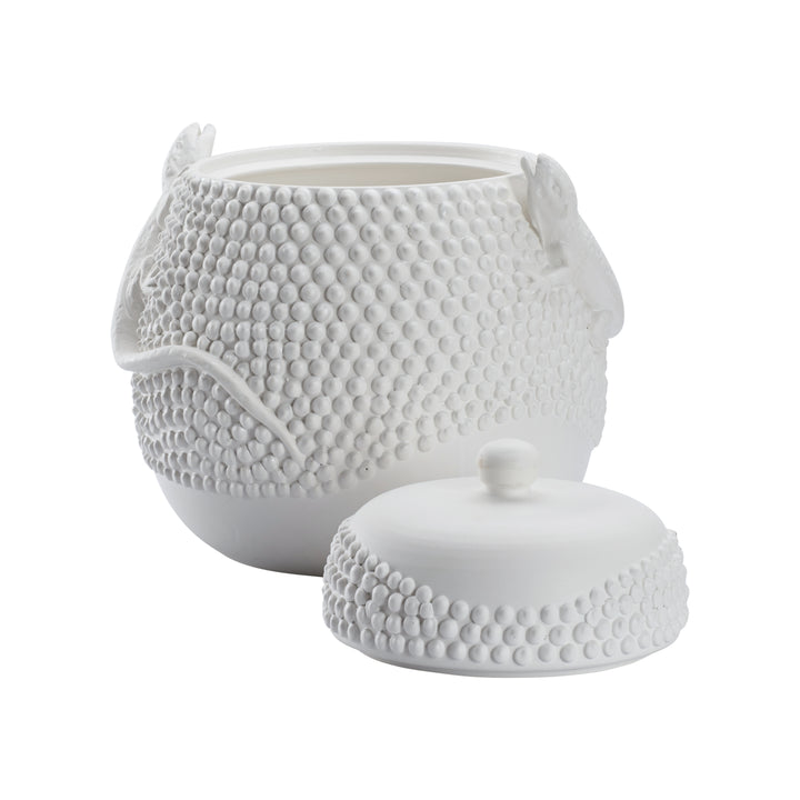 Anolis Canister  - W10069