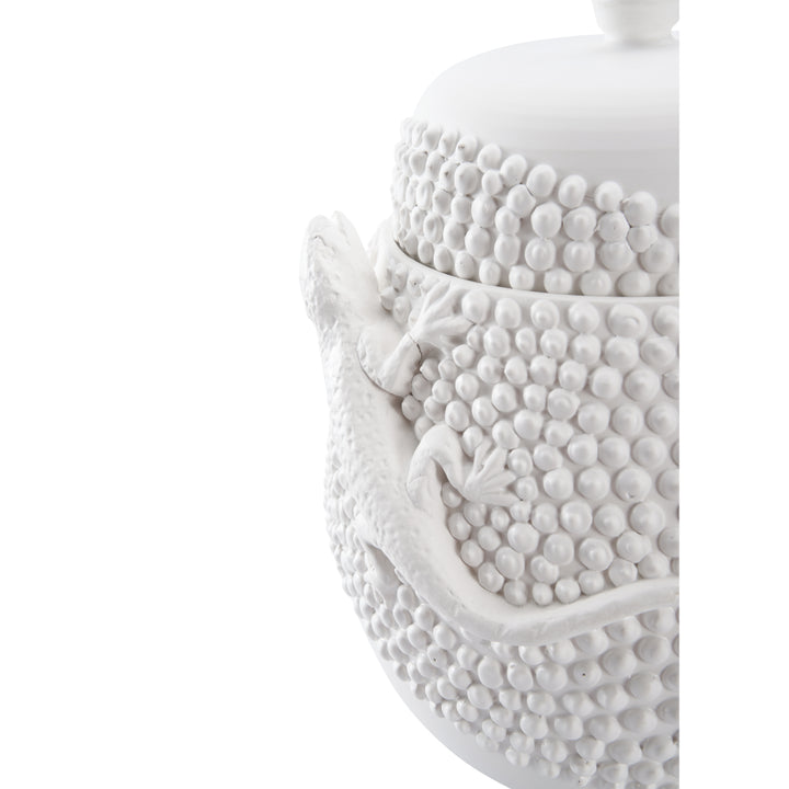 Anolis Canister  - W10069