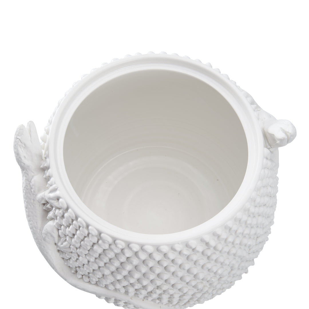 Anolis Canister  - W10069