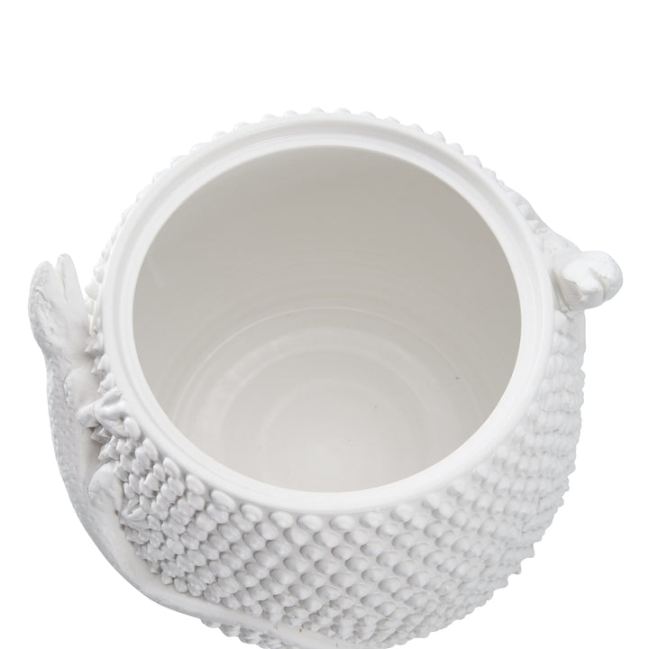 Anolis Canister  - W10069