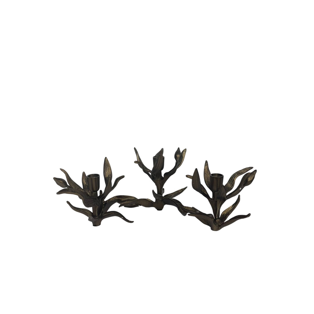 Bellatrix Candleholder - W10307