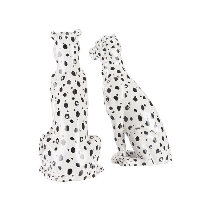 Snow Leopard (PR) - W10441