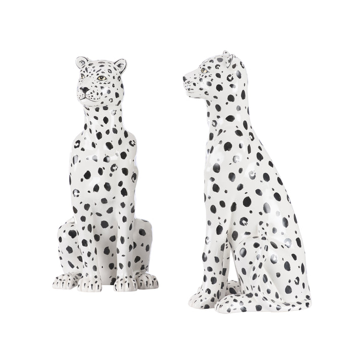 Snow Leopard (PR) - W10441