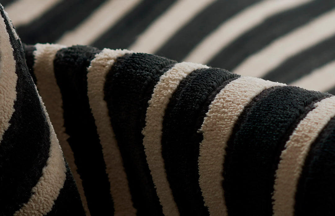 American Home Furniture Momeni Xander 2 Rug