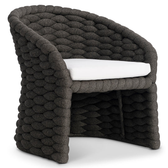 Salinas Arm Chair