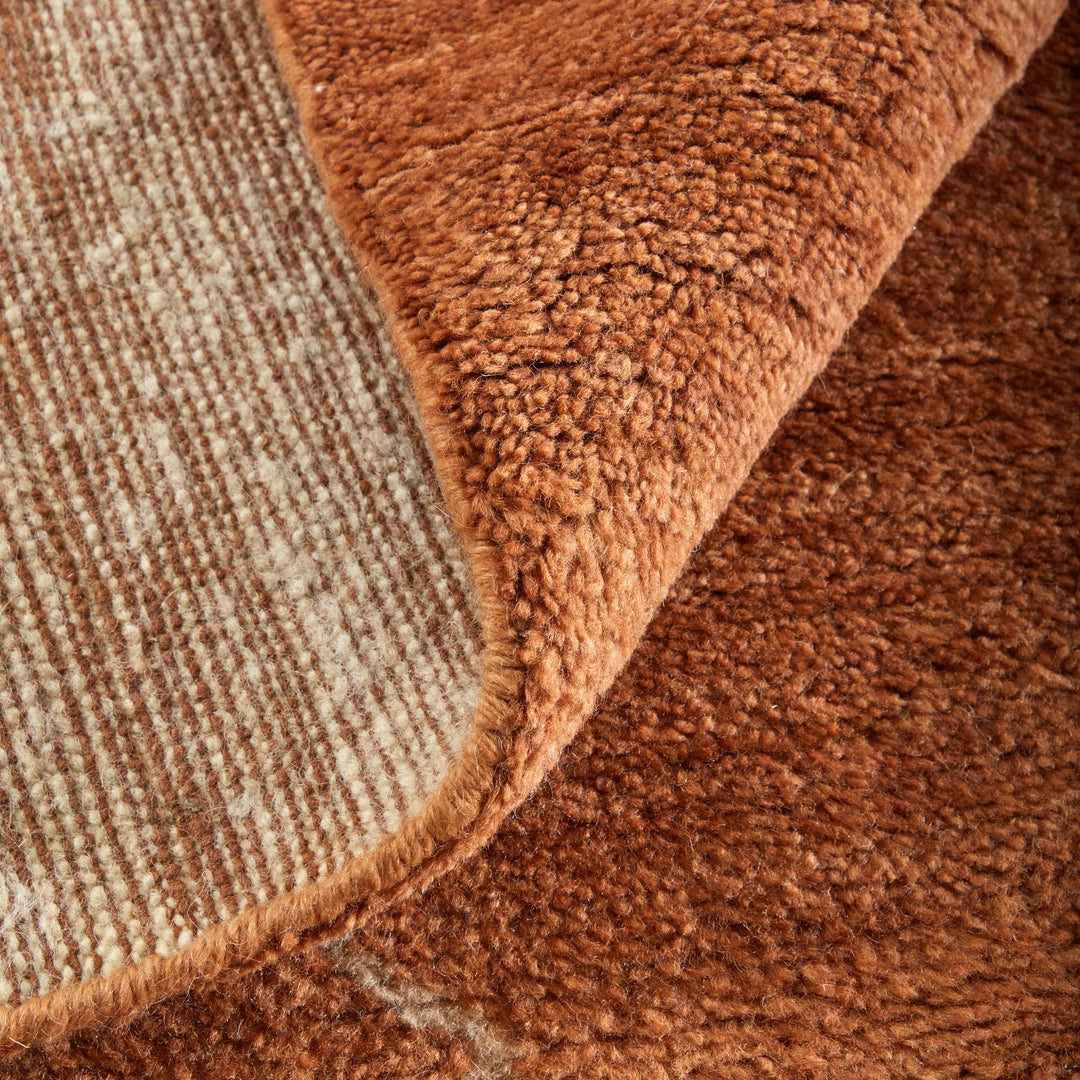 Feizy Rugs Agape Modern Abstract RUGS